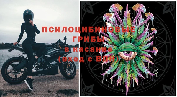 стафф Алексеевка