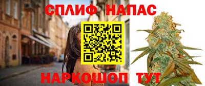 спиды Волгодонск