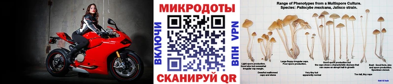 наркошоп Астрахань Галлюциногенные грибы прущие грибы