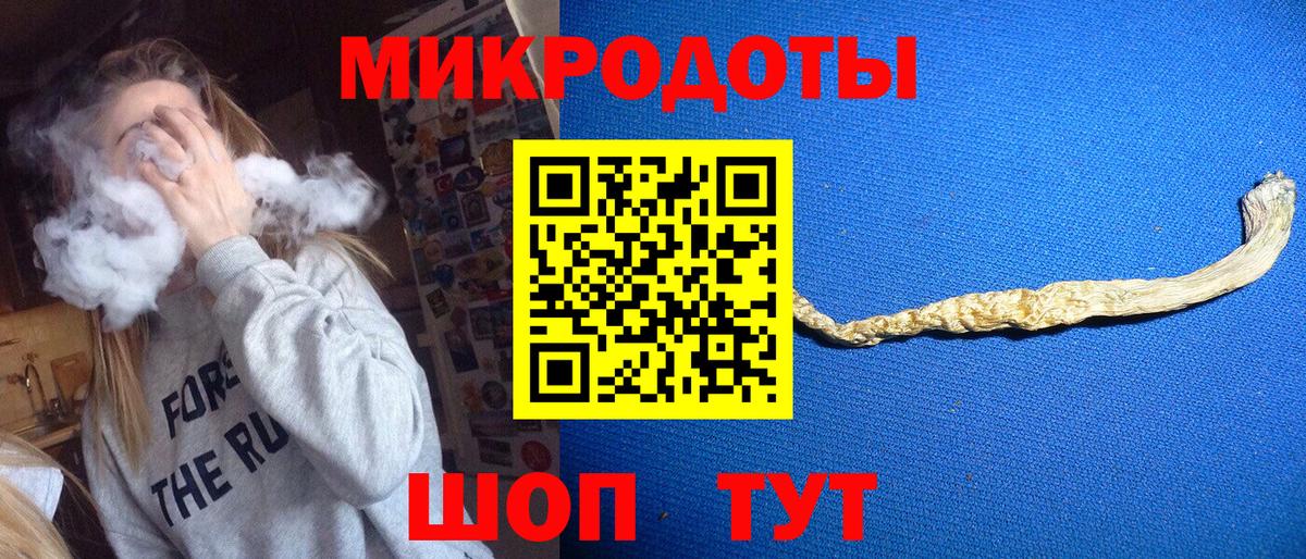 Галлюциногенные грибы прущие грибы Астрахань