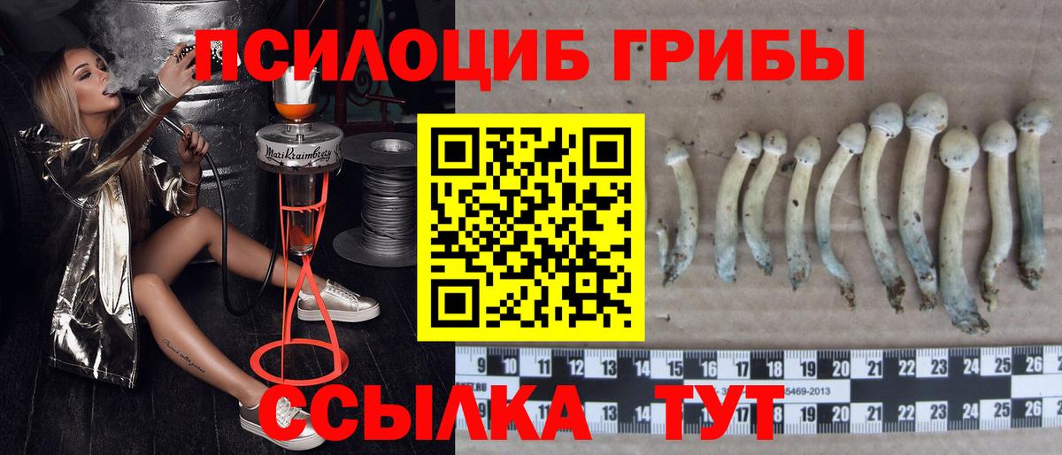Псилоцибиновые грибы мухоморы  Псилоцибиновые грибы мухоморы  Вход с VPN  Астрахань 